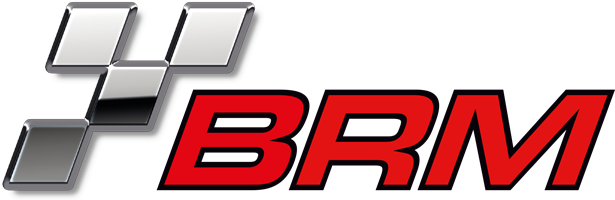 BRM SLOTCAR 1:24 with professional LIGHT